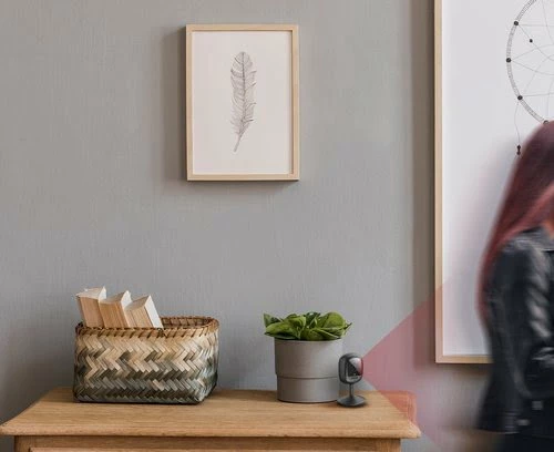 Acheter 🎉 D-Link Compact Full HD Wi-Fi Camera 🤩 5 Acheter 🎉 D-Link Compact Full HD Wi-Fi Camera 🤩 – Image 5